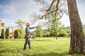 Best Landscape Design and Installation  in Vernon Valley, NJ