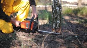 Best Lawn Watering Services  in Vernon Valley, NJ