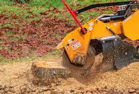 Reliable Vernon Valley, NJ Tree Removal Solutions