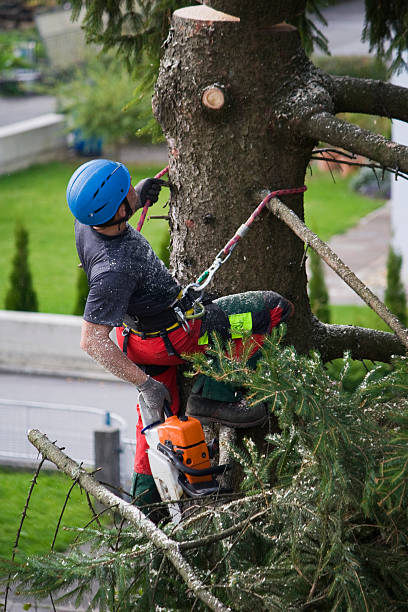 Best Lawn Watering Services  in Vernon Valley, NJ
